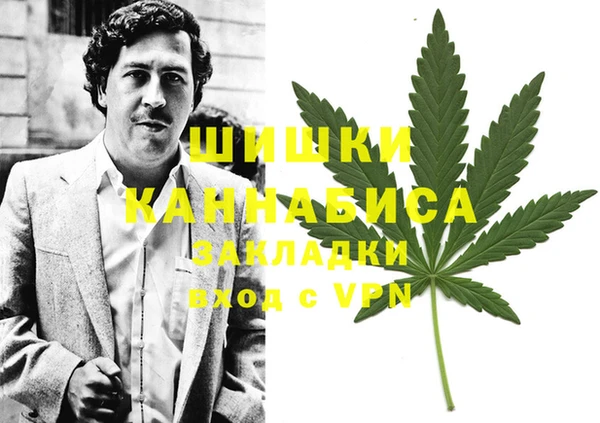 ГАЛЛЮЦИНОГЕННЫЕ ГРИБЫ Баксан