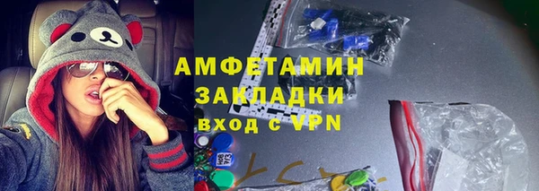 индика Балабаново