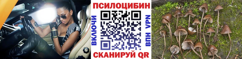 Галлюциногенные грибы Psilocybe  Верхняя Тура 